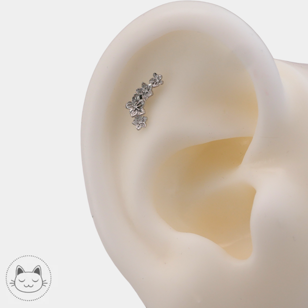 Bijou piercing Naga Sakura en or blanc 14 carats pour conch disponible à Lille chez Kawaii Place