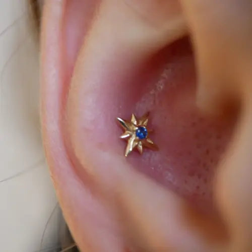 Sacred Symbols - D8 - Lapis Lazuli Kawaii Place piercing