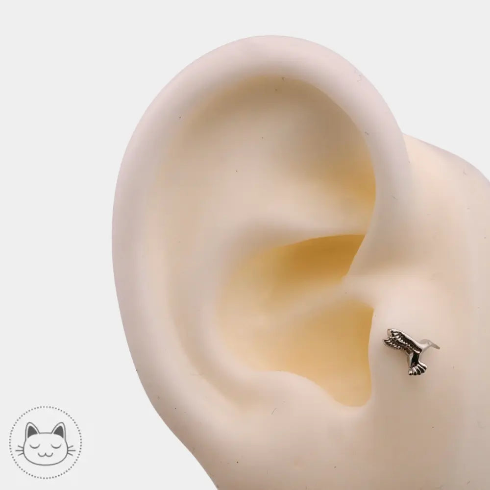 Détail du BVLA Humming Bird or blanc 14k