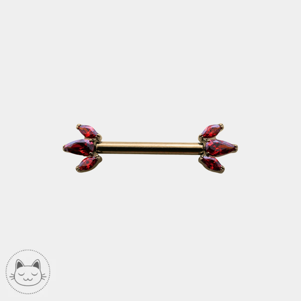 Invictus - Fiery Furnace - Titane & Zircons rouges Kawaii Place piercing