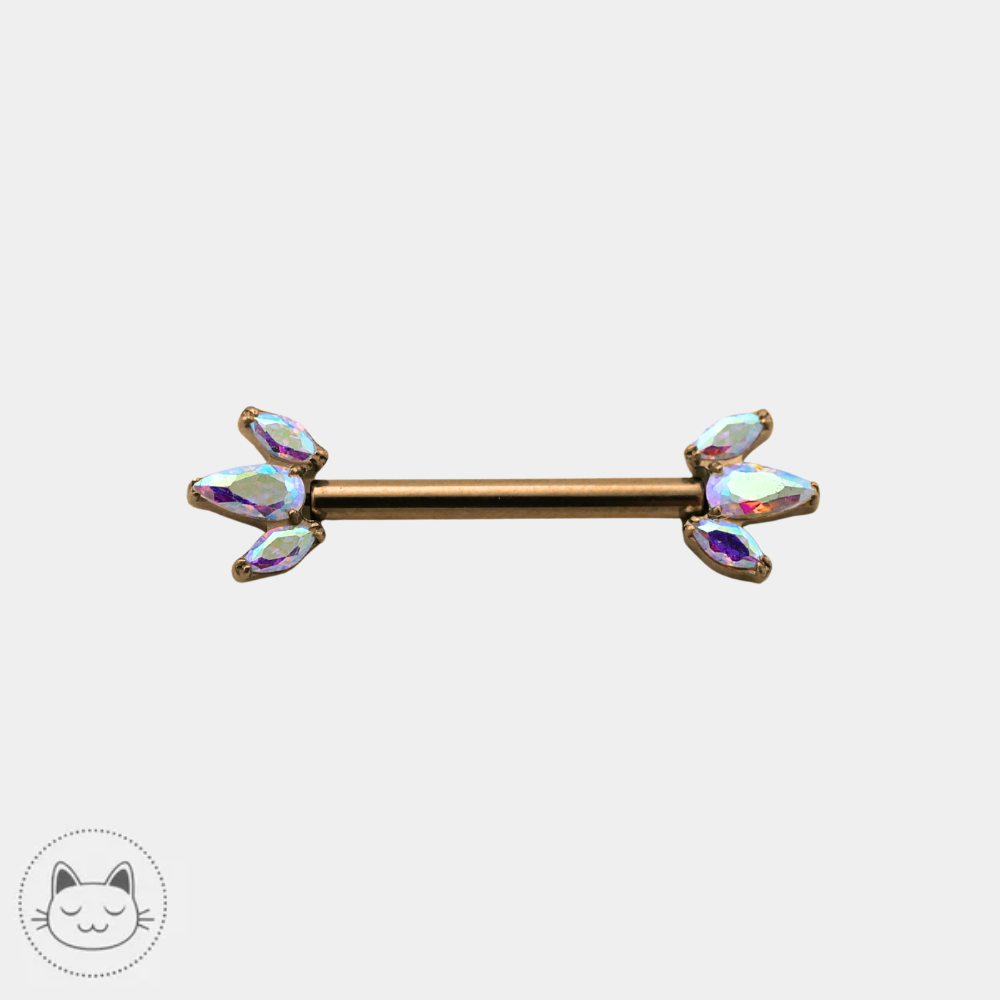 Invictus - Fiery Rainbow - Titane & Zircon Aurora Borealis Kawaii Place piercing