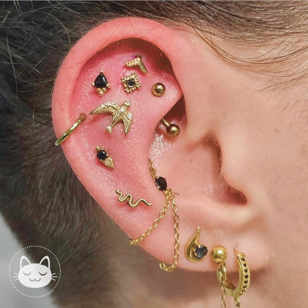 Prix des piercings - Kawaii Place piercing 