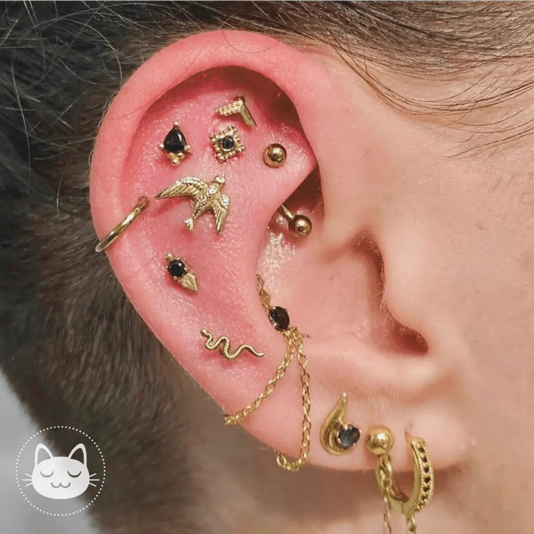 Prix des piercings - Kawaii Place piercing 