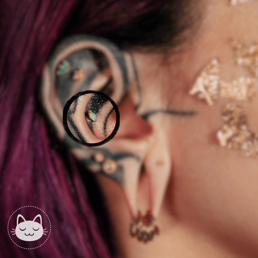 Conch - Kawaii Place piercing 