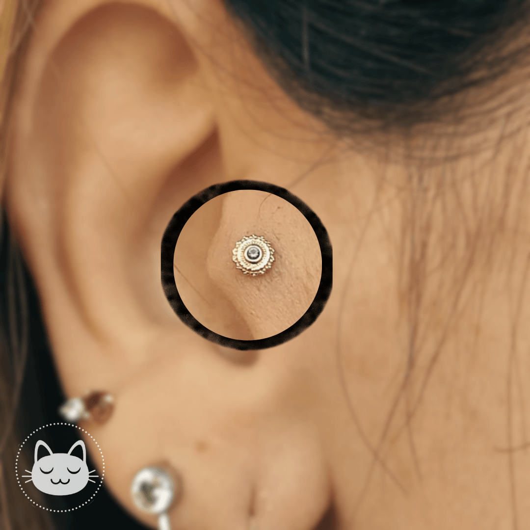 Tragus - Kawaii Place piercing 