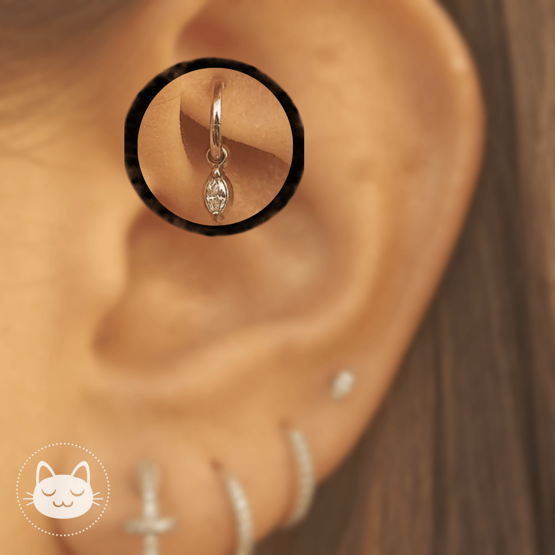 Rook - Kawaii Place piercing 