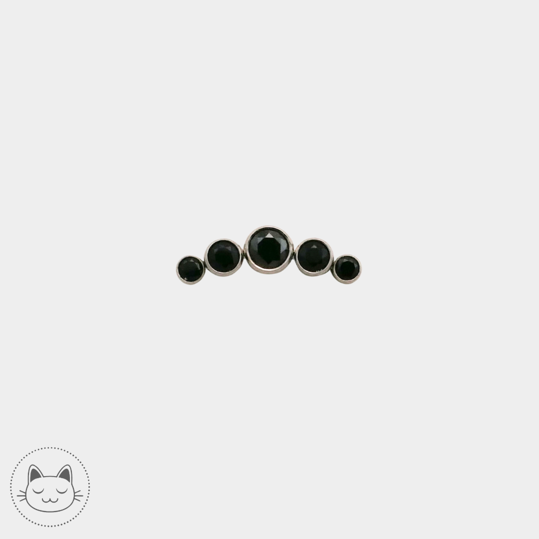 LeRoi - 6t - Titane et zircons noir Kawaii Place piercing