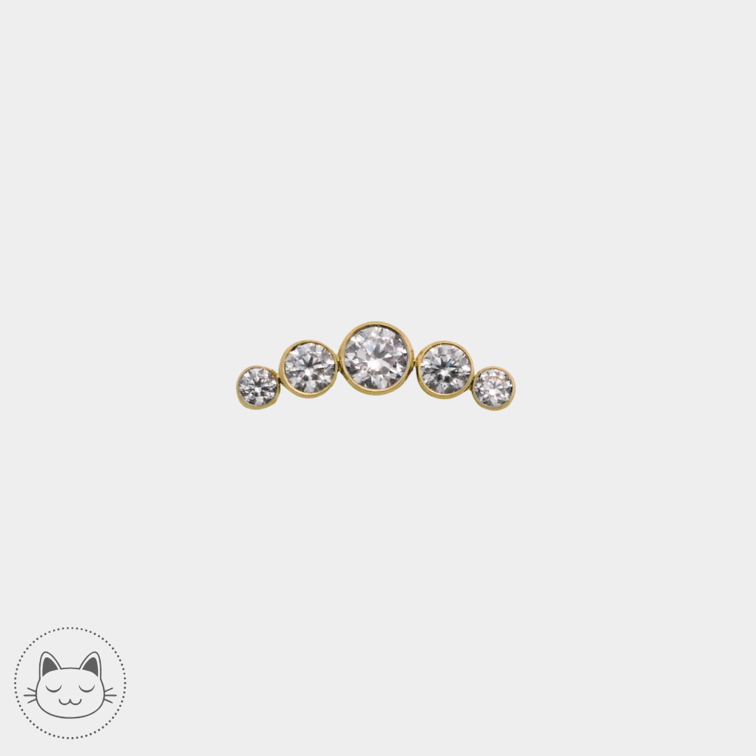 LeRoi - 6t - Titane et zircons blancs Kawaii Place piercing