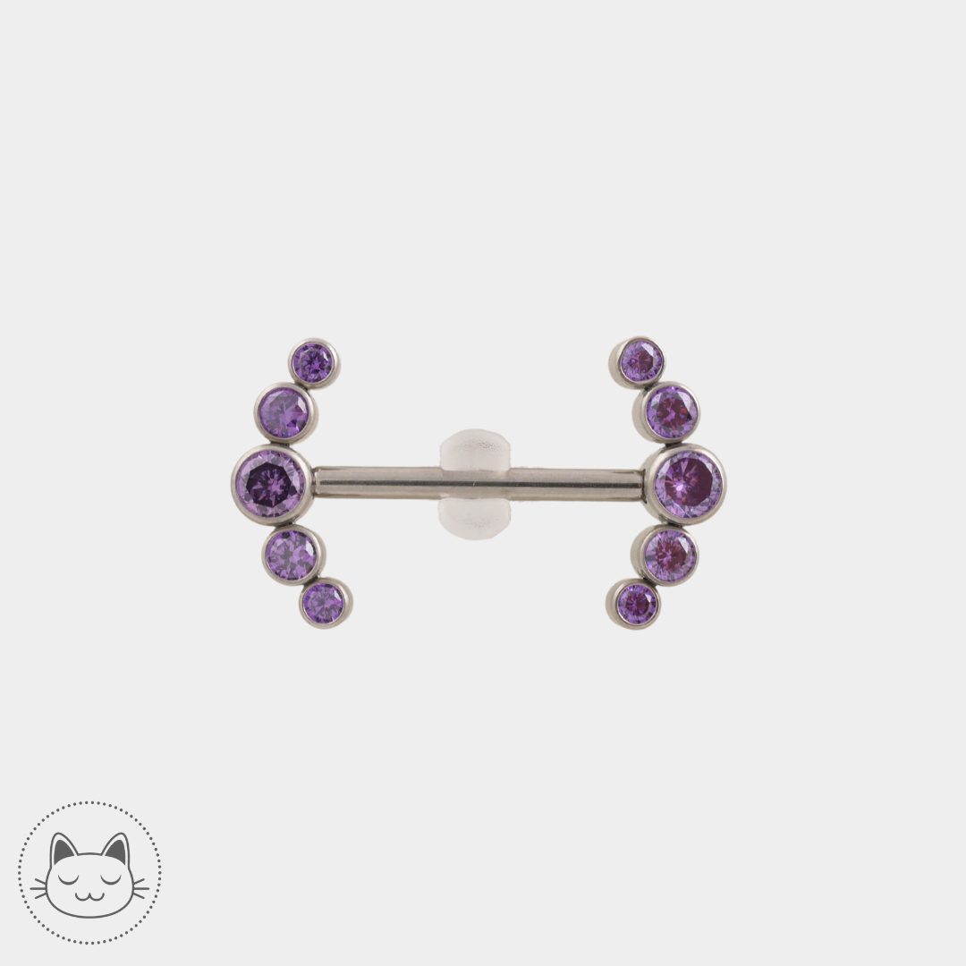 Bijou téton - Titane - Zircons violets Argenté
