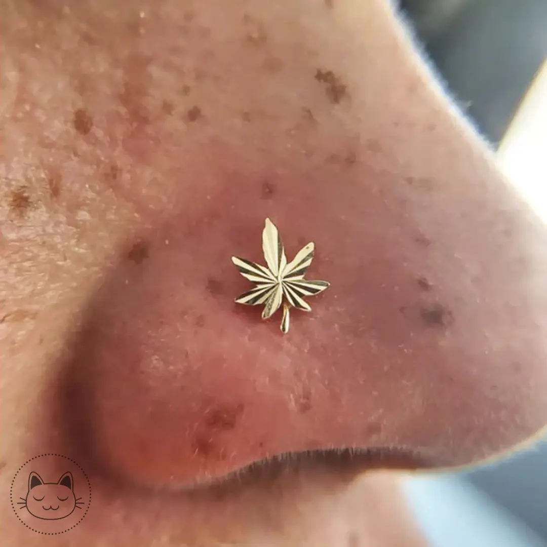 Buddha Jewelry - Kush Kawaii Place piercing