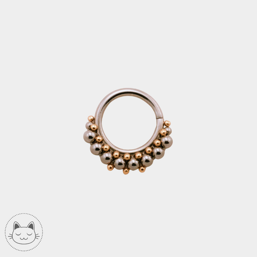 LeRoi - Collection titane et or