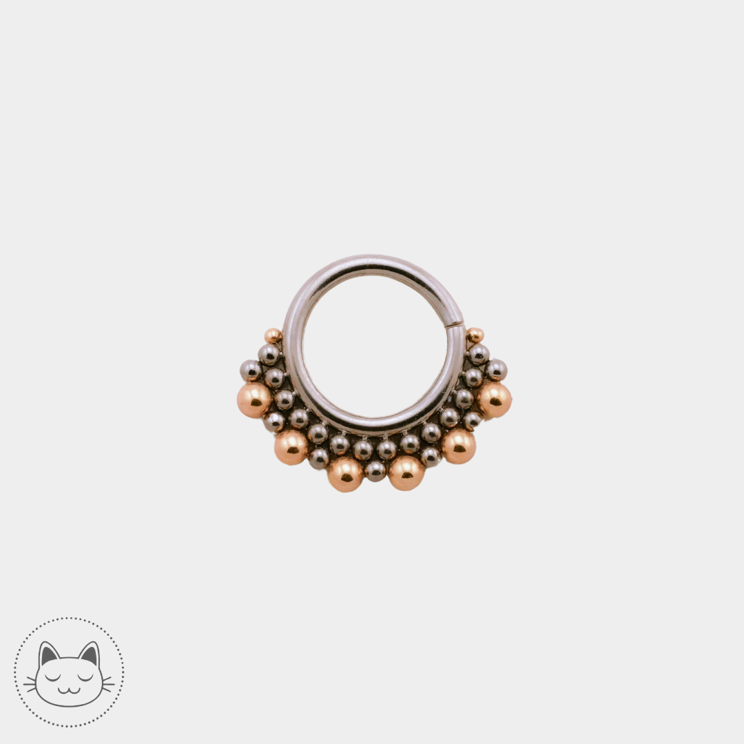 LeRoi - Collection titane et or