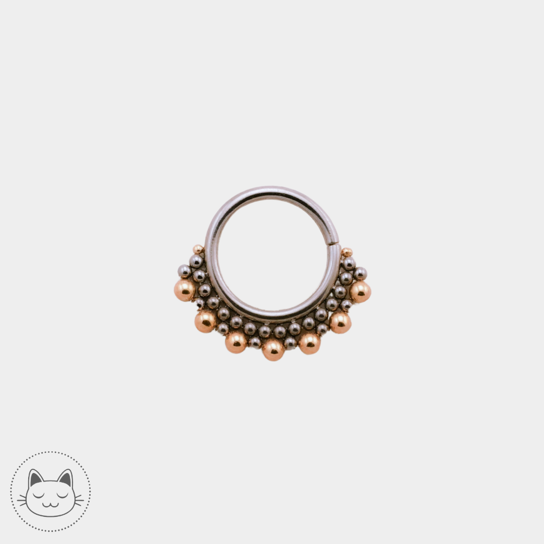 LeRoi - Collection titane et or