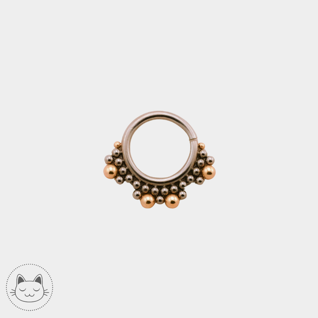 LeRoi - Collection titane et or