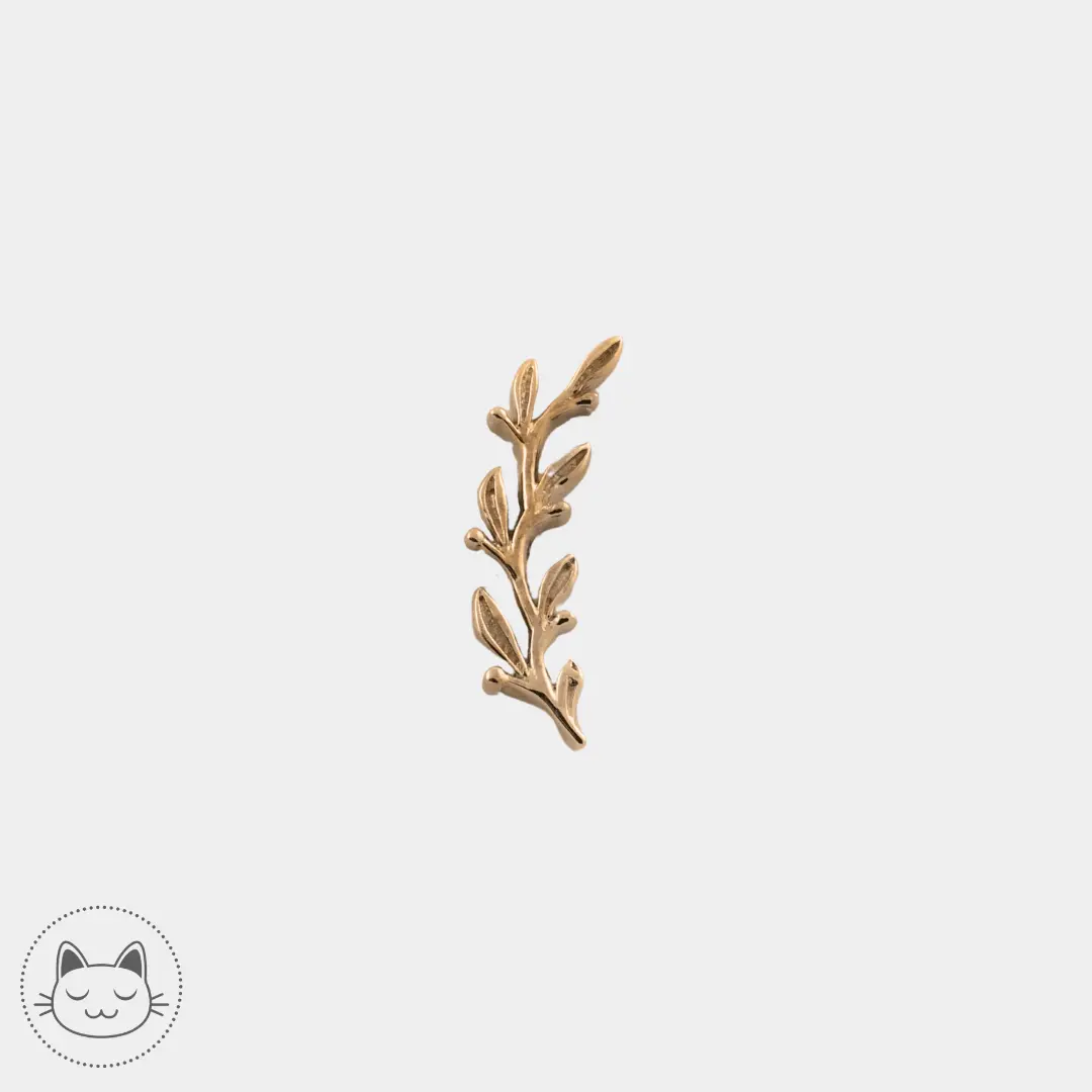 BVLA Amity Grande or 14k 14x3,5 mm disponible à Lille