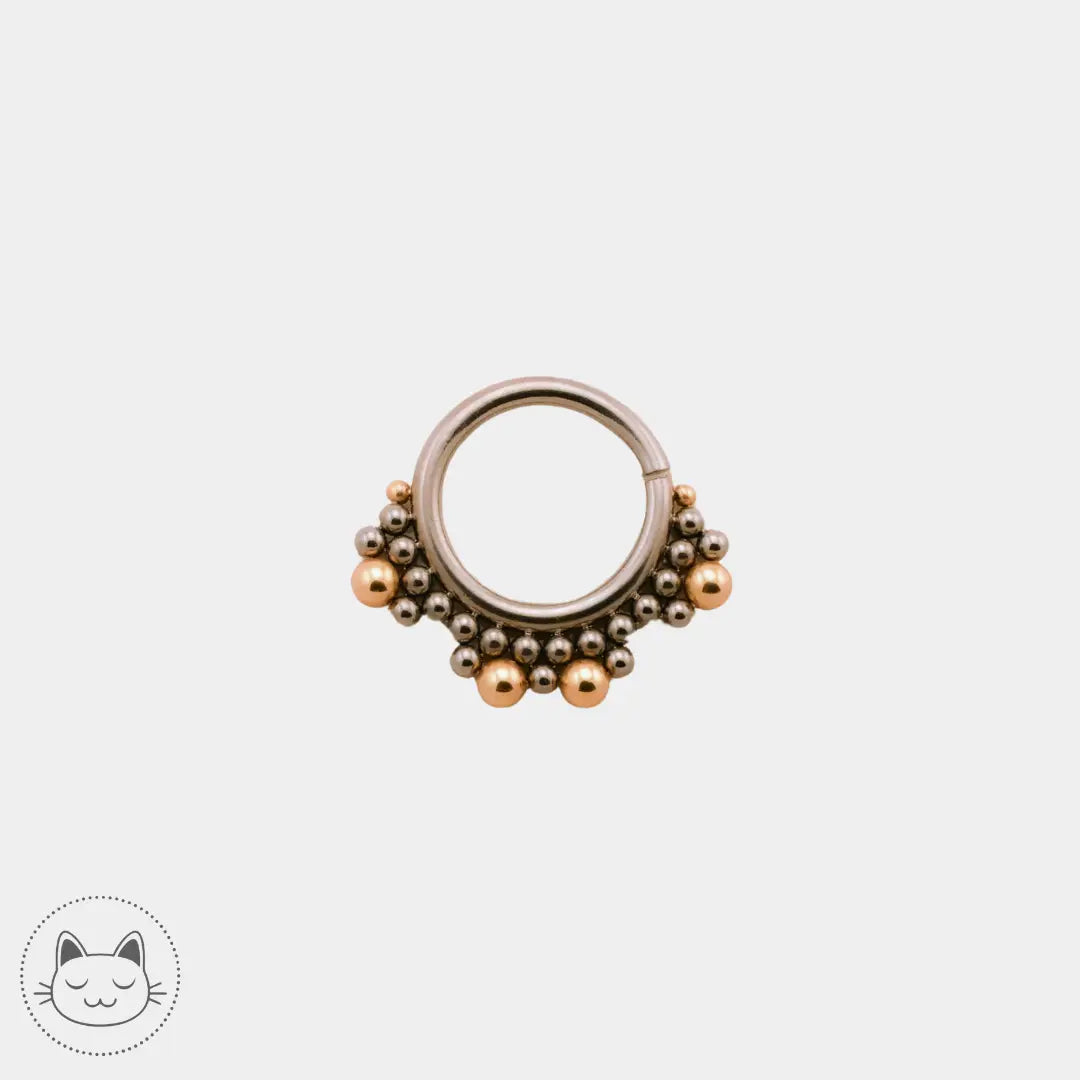 Anneau LeRoi titane ASTM F136 et or 14k Lille