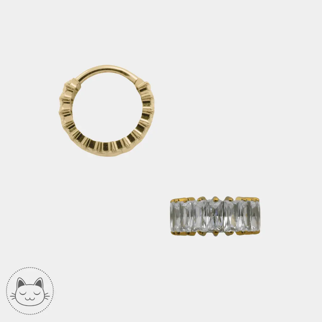 Anneau clicker en titane ASTM F136 3 mm serti de zircons