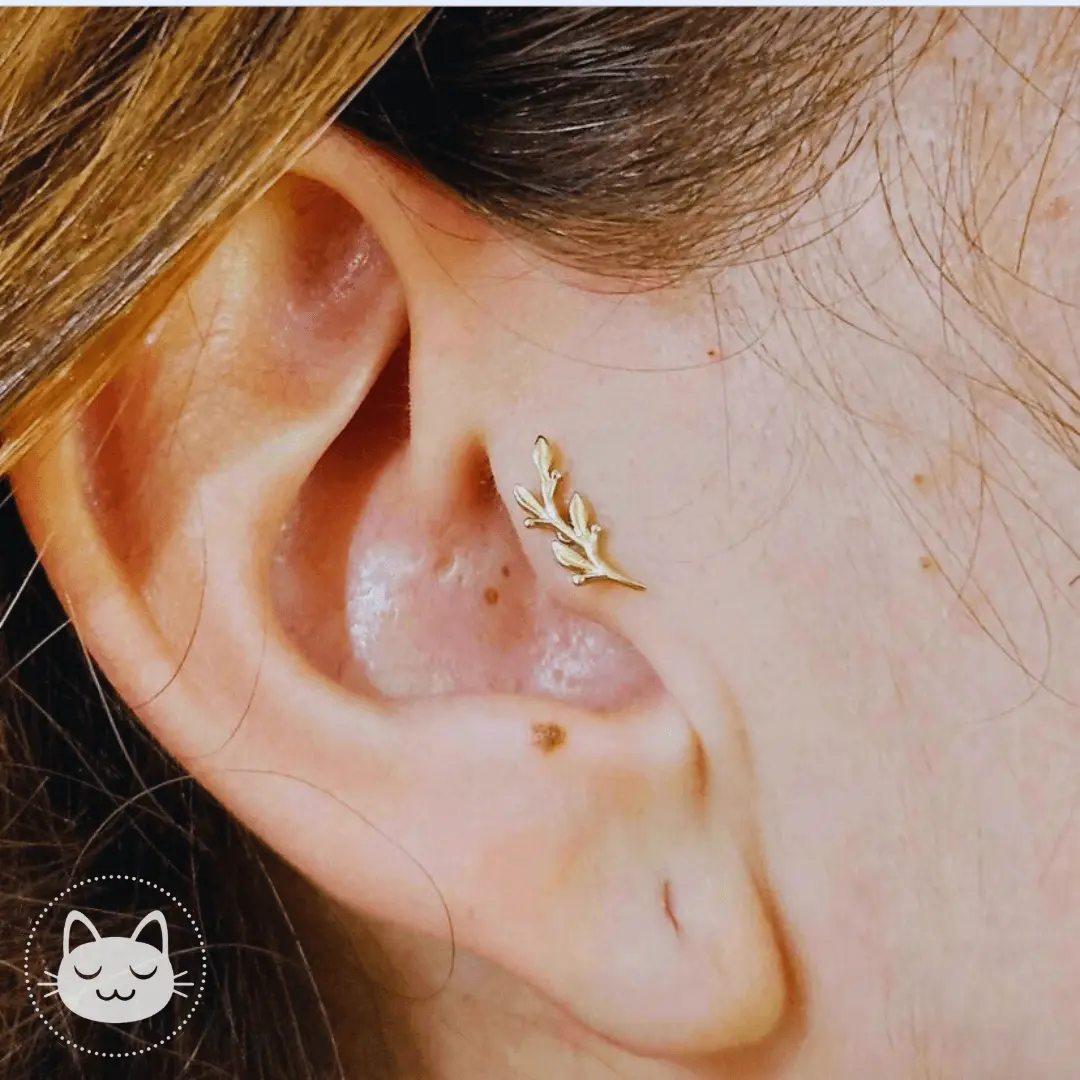 BVLA Amity gold body jewelry 14k