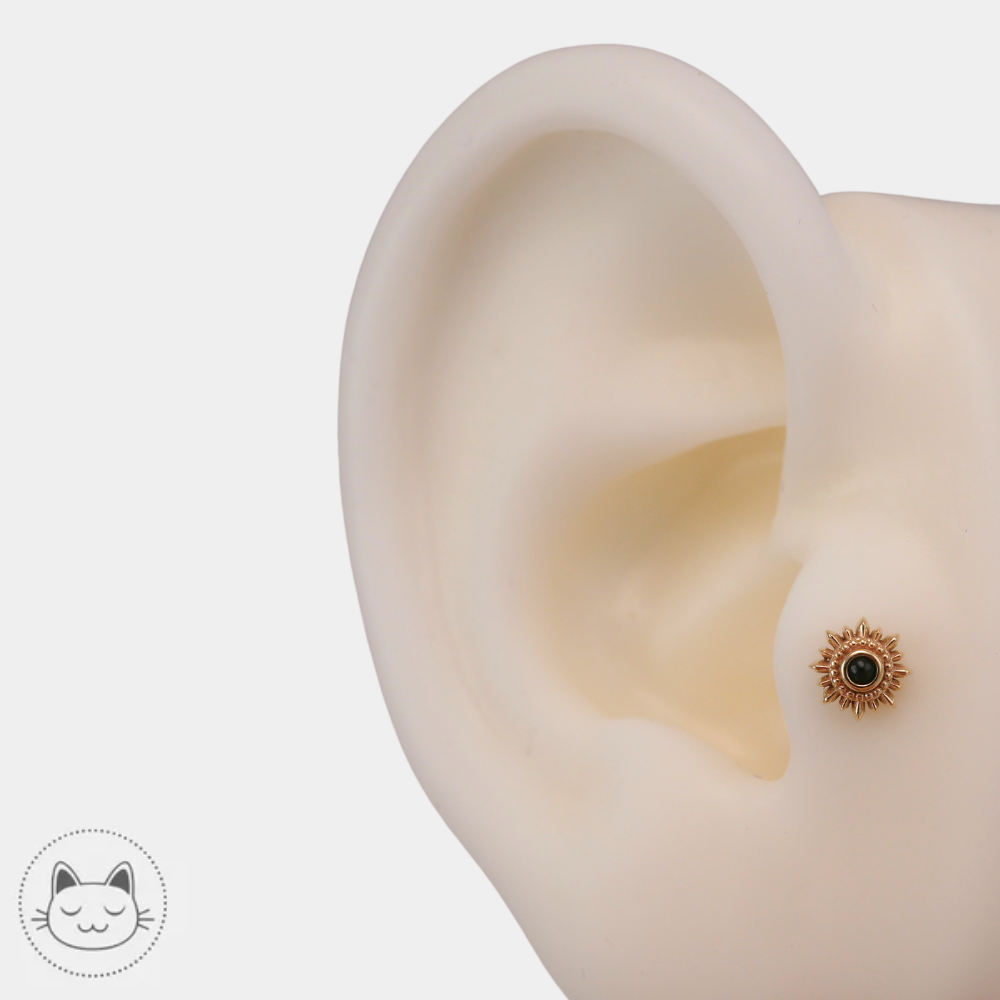 Piercing or 14 carats BVLA Mini Compass avec onyx noir