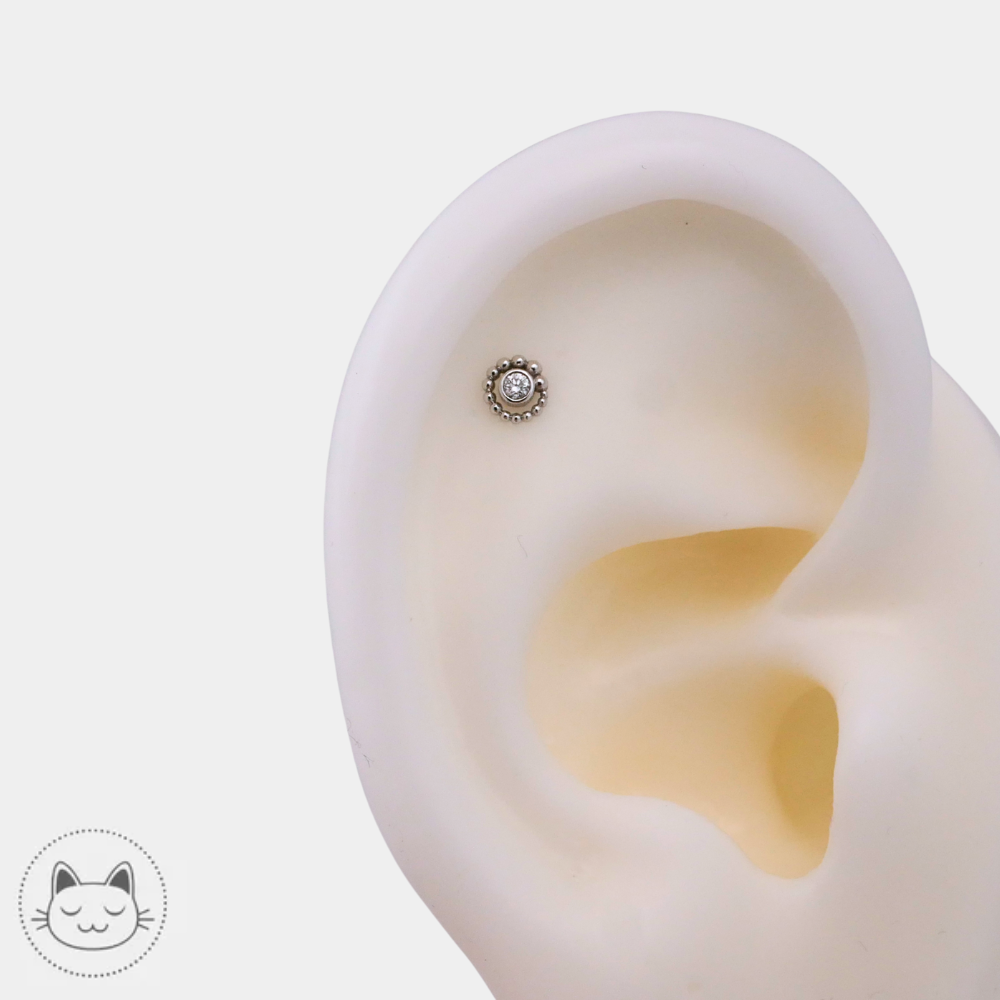 Piercing BVLA modèle Tiny Beaded Swirl en or blanc 14k diamant blanc