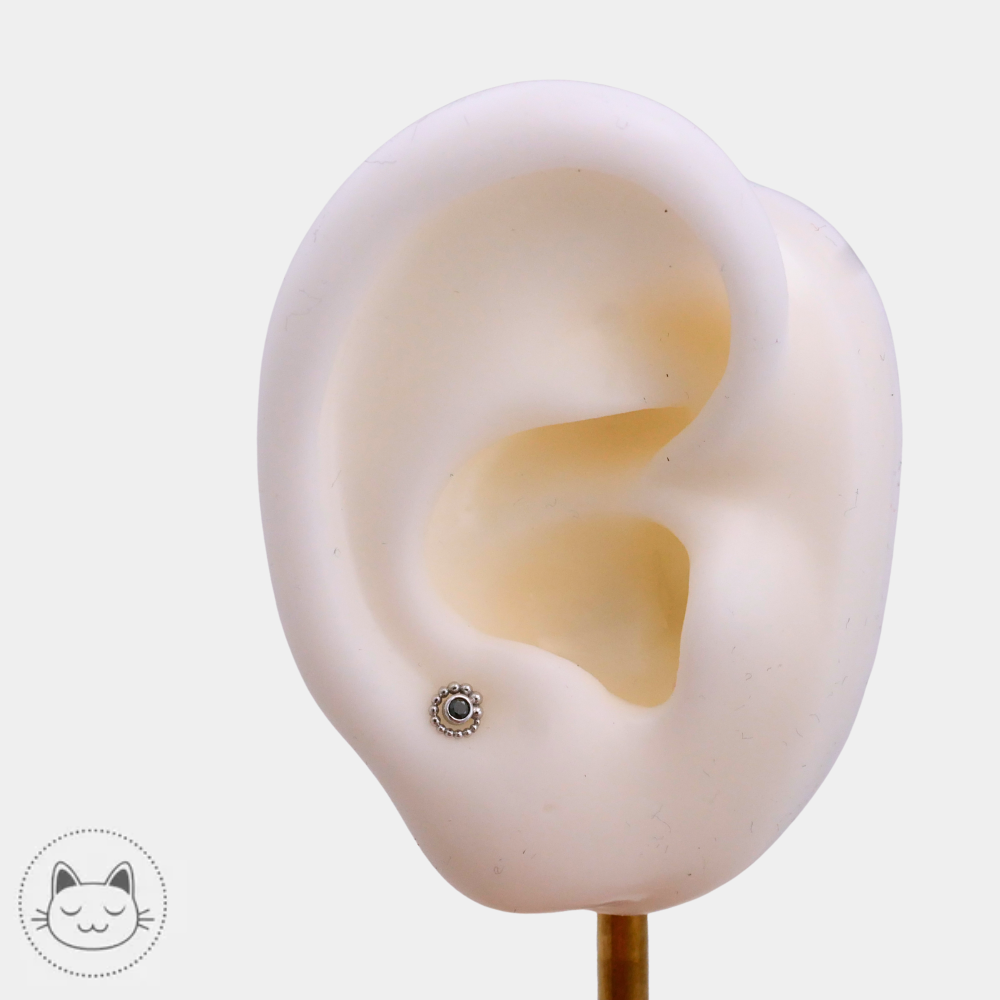 Piercing BVLA en or blanc avec diamant noir modèle Tiny Beaded Swirl