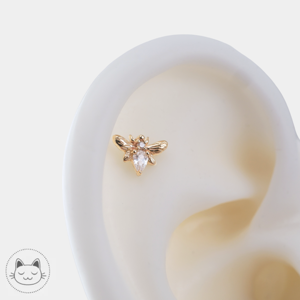Bijou Bee Chic en or 14 carats pour piercing tragus et lobe