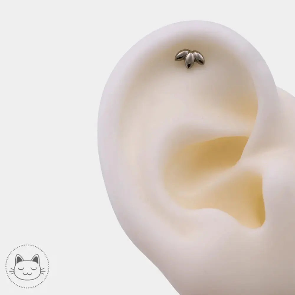 Bijou de piercing Invictus titane sans pierre