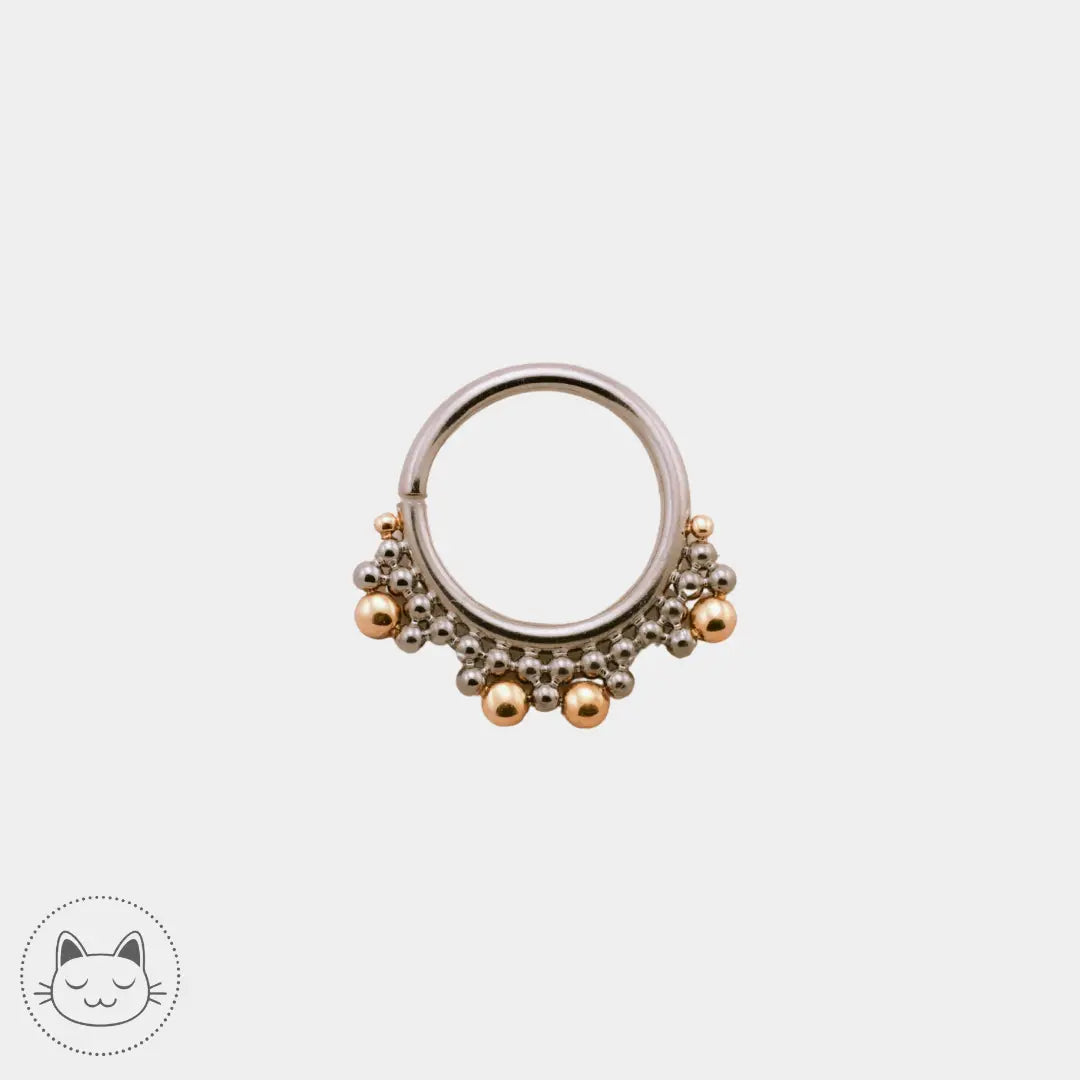 Anneau LeRoi titane ASTM F136 et or 14k Lille