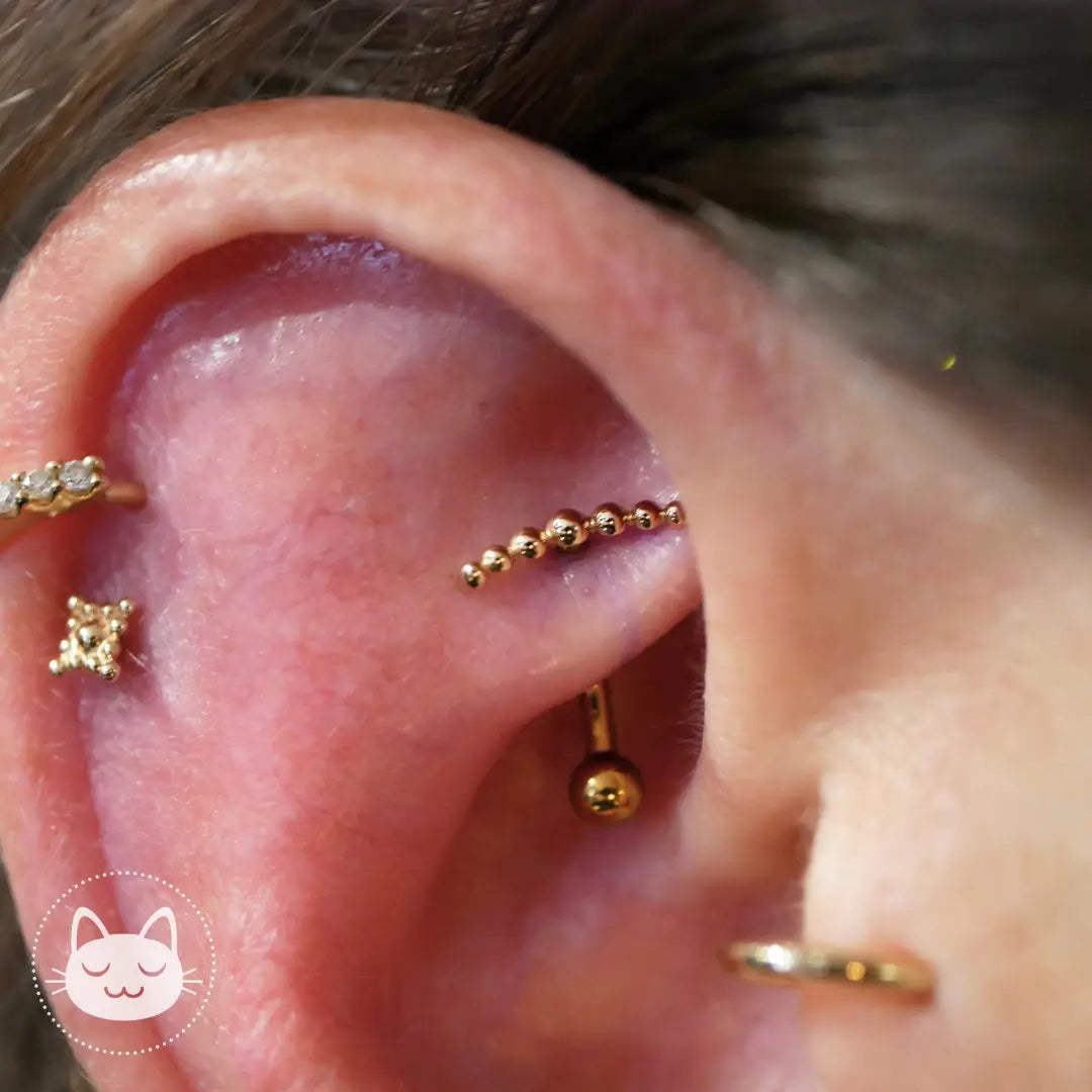 Auris Nefertiti or 14k Lille