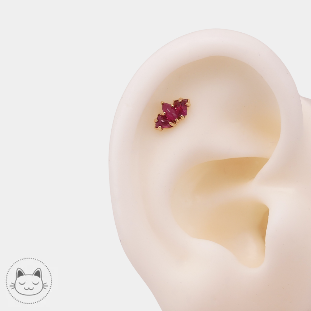 Sacred Symbols D1 avec rubis rouge pour conch et rook