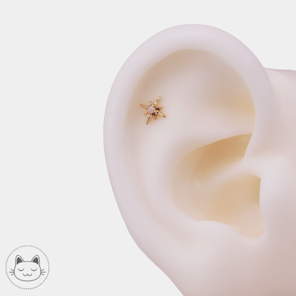 Sacred Symbols D8 pour tragus medusa labret et nostril