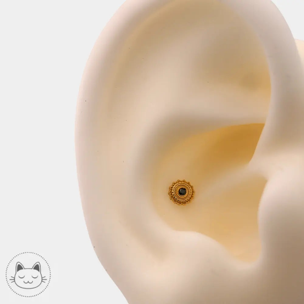 Bijou de piercing BVLA Afghan or 14 carats onyx 4 mm