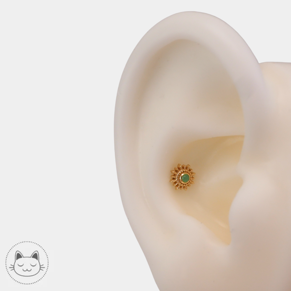 Bijou piercing BVLA Mini Compas en or 14 carats avec chrysoprase
