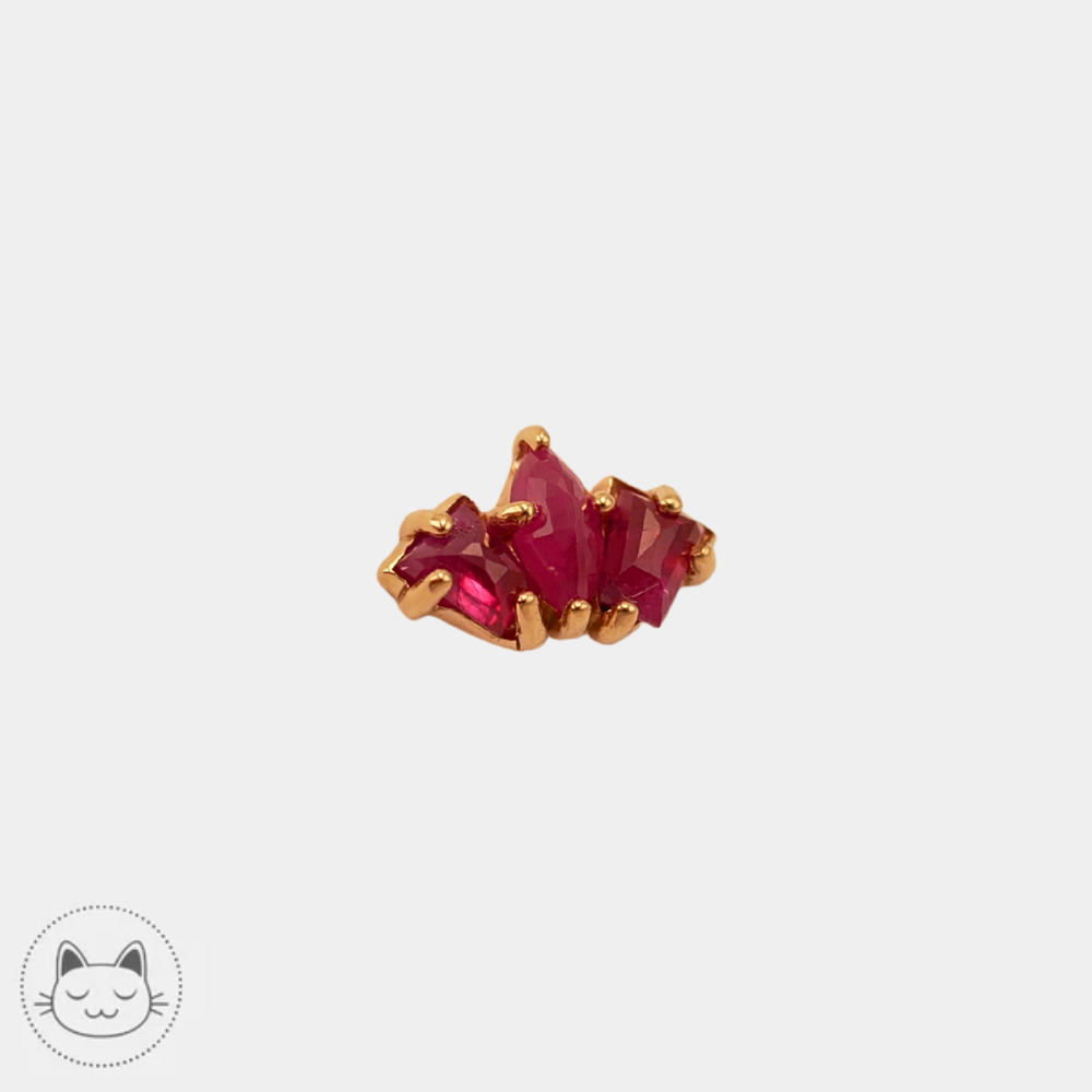 Embout Sacred Symbols D1 rubis compatible barre NeoMetal