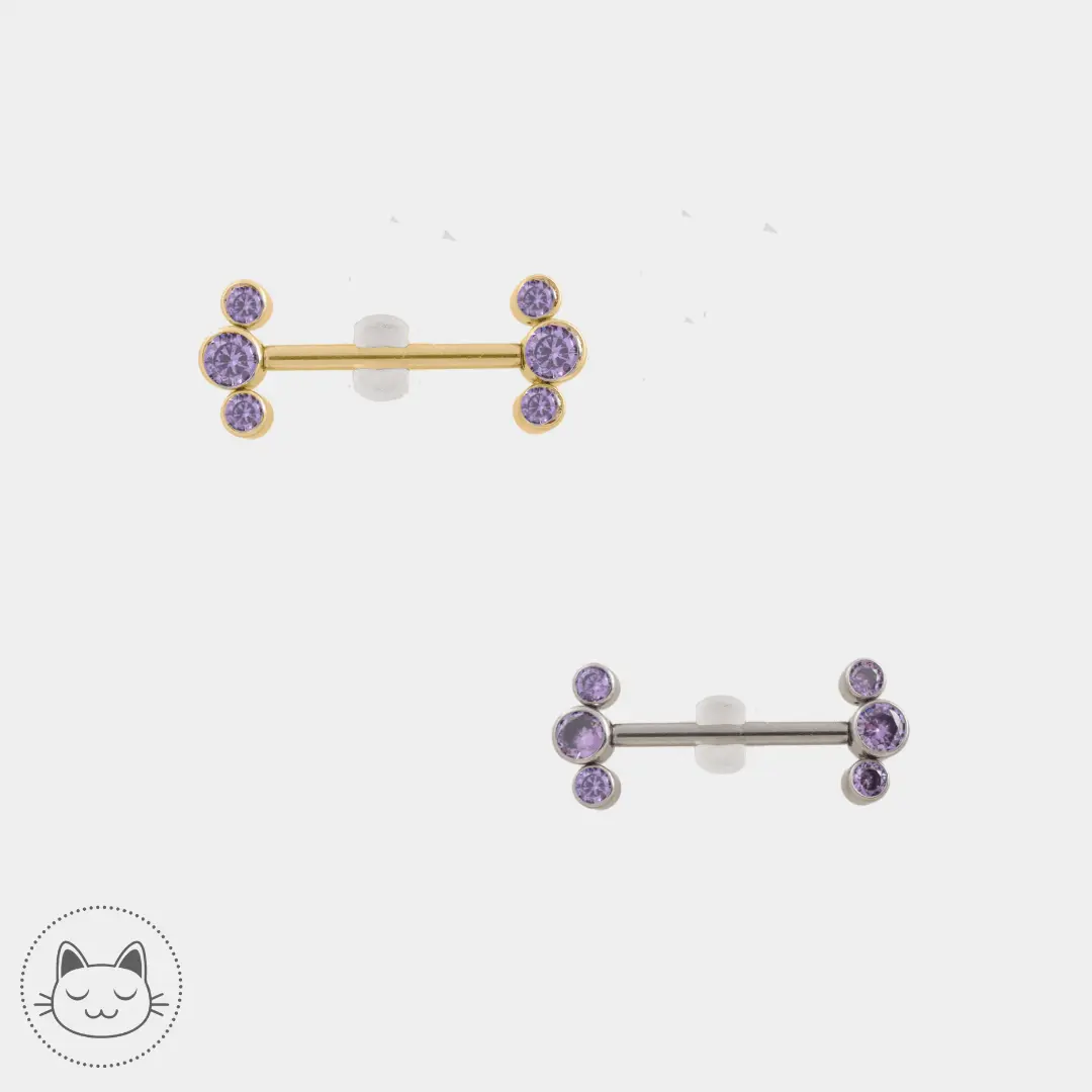 Bijou téton en titane ASTM F136 1,6 mm avec zircons violets