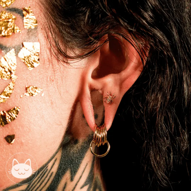 Buddha Jewelry - Arachne - Zircons blancs - Kawaii Place piercing 
