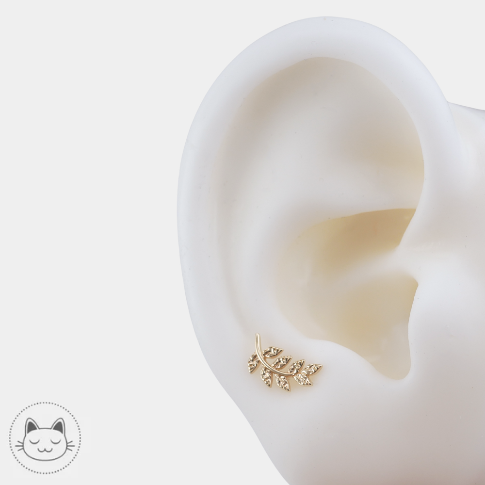 Buddha Jewelry Thriving en or jaune 14K pour piercing