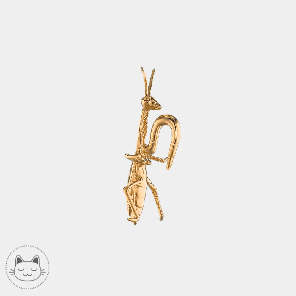 bijou stretch insecte sculpté Tawapa Lille Kawaii Place
