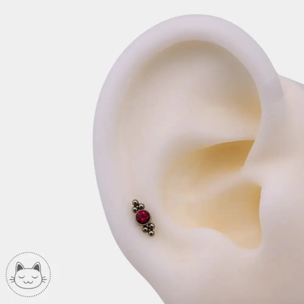 Bijou piercing titane zircon rouge LeRoi
