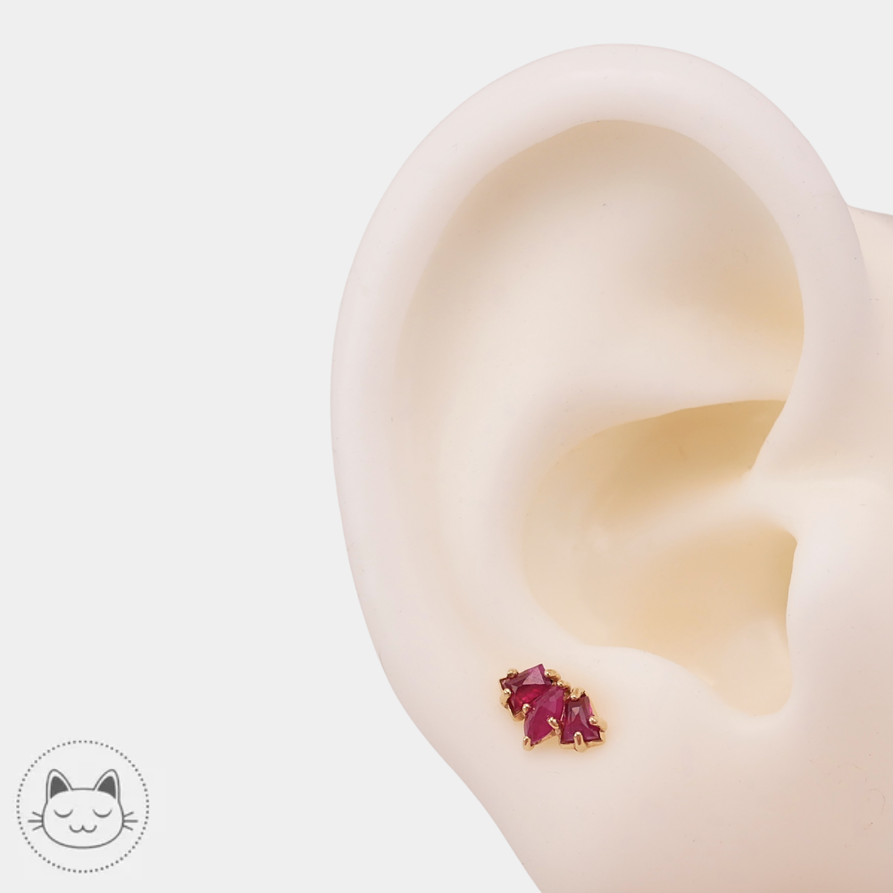 Détail du rubis sur le bijou piercing Sacred Symbols D1
