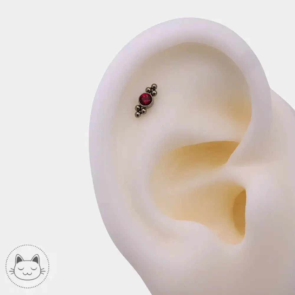 LeRoi embout piercing titane ASTM F136