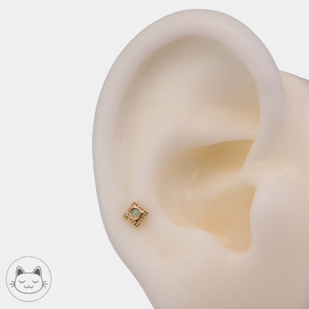 BVLA Flourish Illusion opale AAA en or 14k pour piercing quotidien