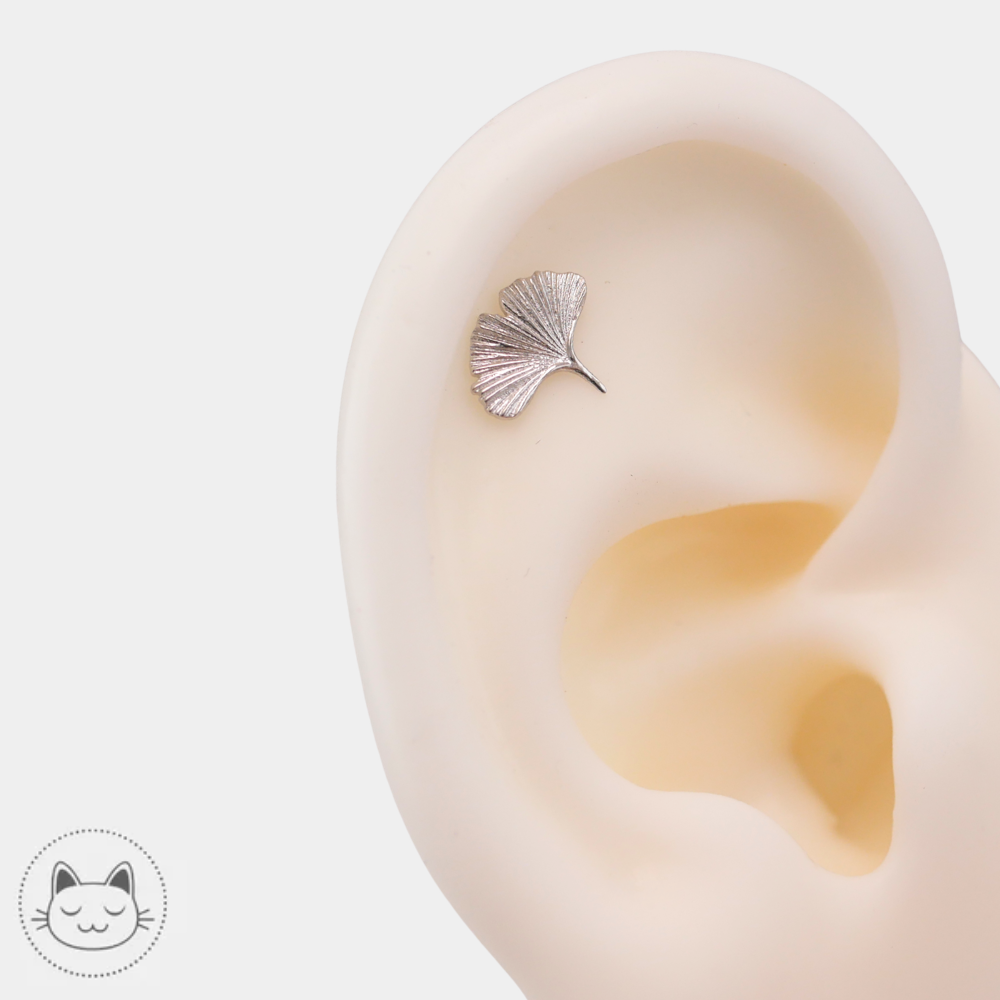 Bijou de piercing Gingko en or blanc 14 carats compatible avec un labret threadless, porté sur un flat helix