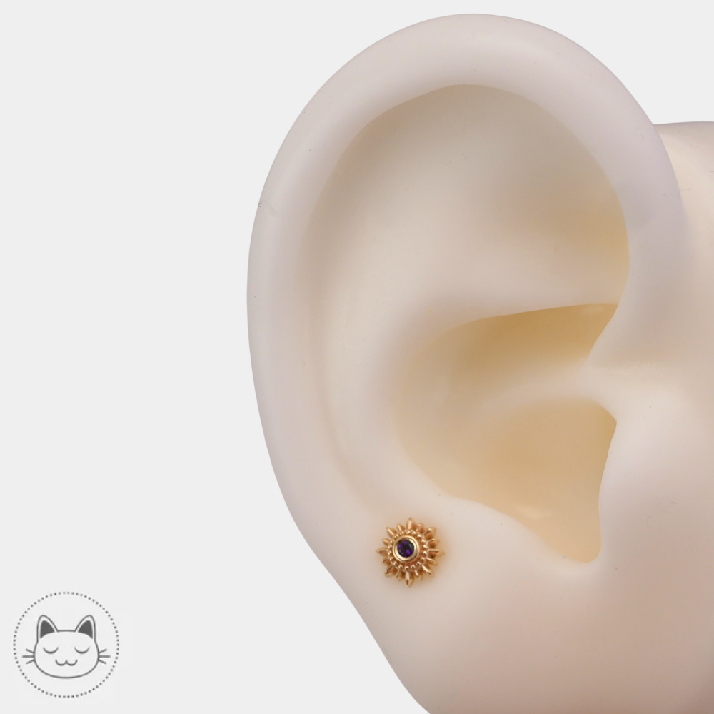 Piercing BVLA Mini Compass pour medusa et nostril