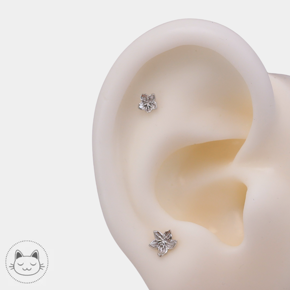 Bijou piercing NAGA Body Jewelry Flower en or blanc 14K