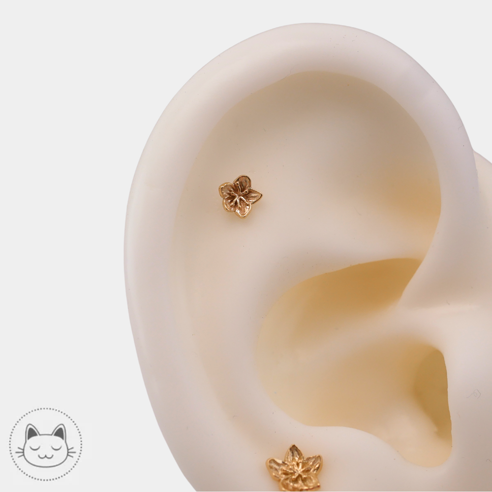 Bijou de piercing NAGA Flower en or jaune 14 carats pour lobe et helix