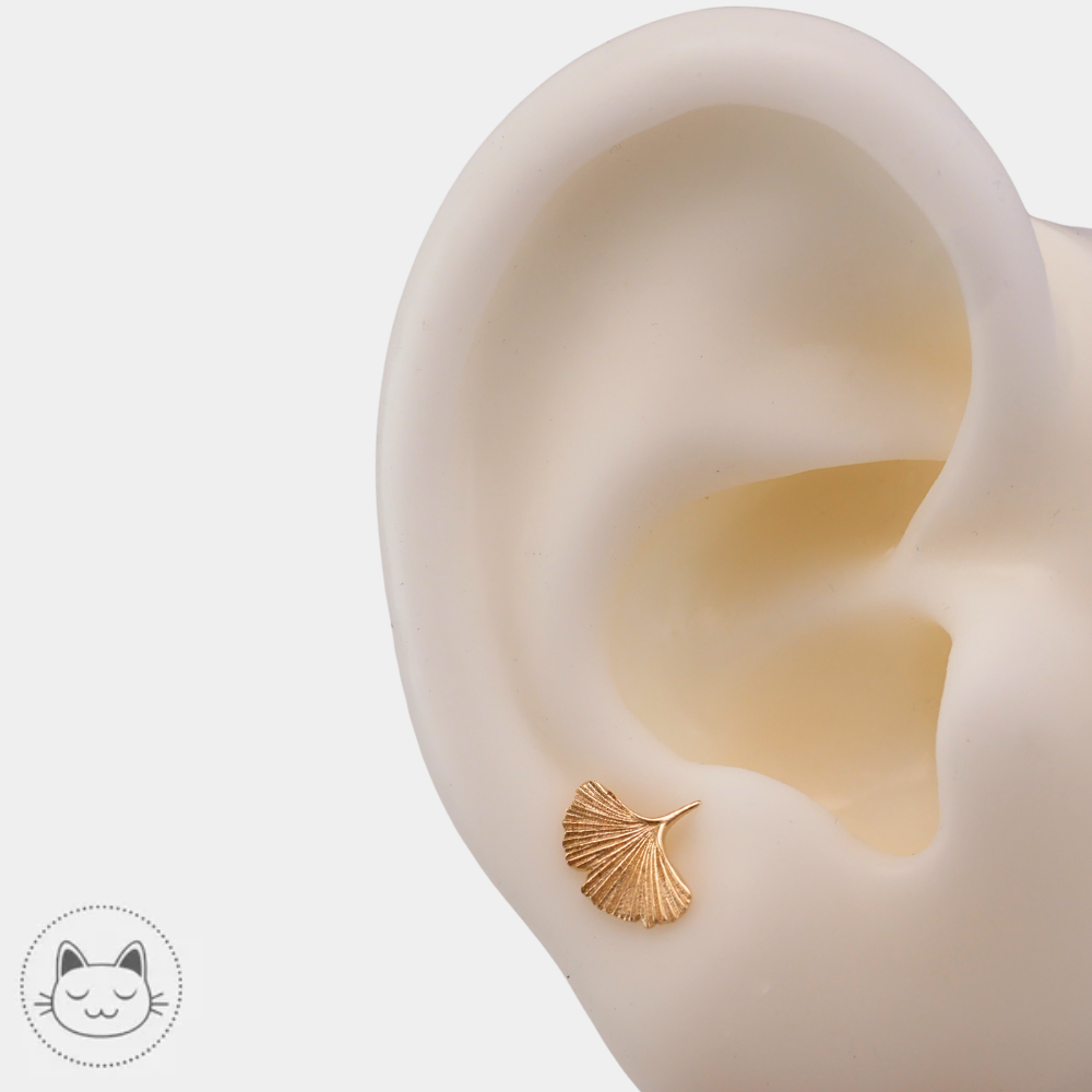 Bijou piercing Naga Gingko en or jaune 14 carats porté au lobe