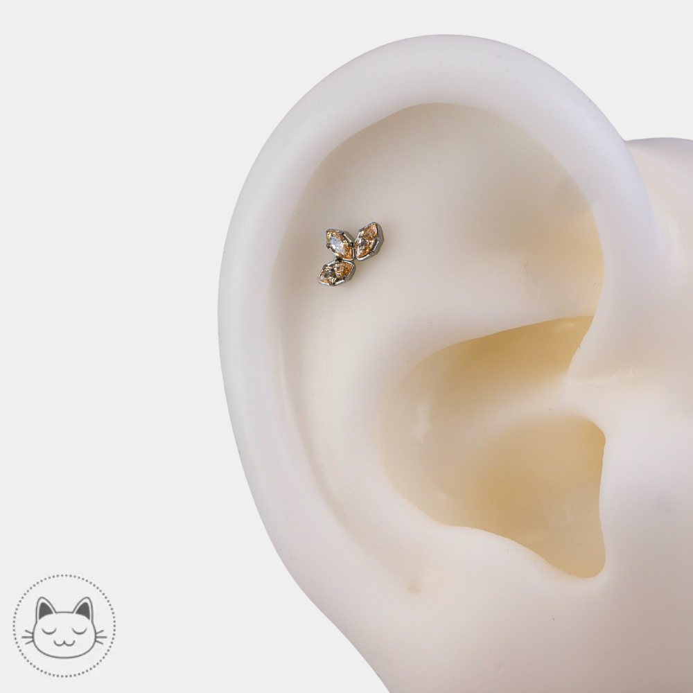 bijou piercing titane zircon champagne neometal marquise porté helix oreille