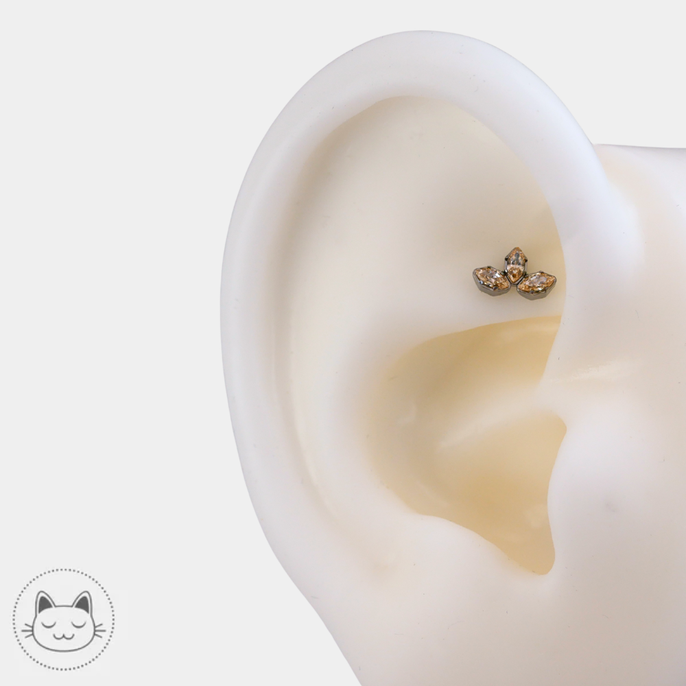 NeoMetal Marquise zircon champagne placement oreille daith
