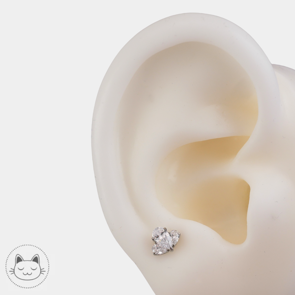 bijou piercing titane zircons blancs fan cluster neometal porté lobe oreille